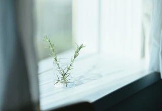 ブティックエージェンシードメイン