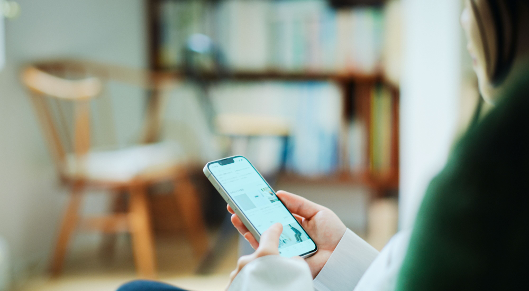 プラットフォームドメイン