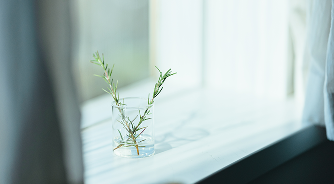 ブティックエージェンシードメイン