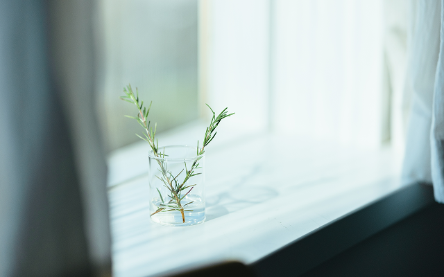 ブティックエージェンシードメイン